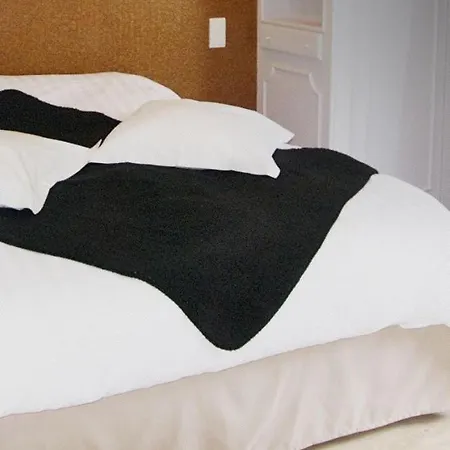 Castel Du Pont D Oly 3* Jurançon